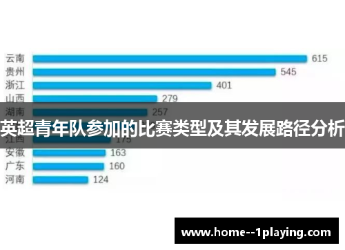 英超青年队参加的比赛类型及其发展路径分析 英超青年队参加的比赛类型及其发展路径分析