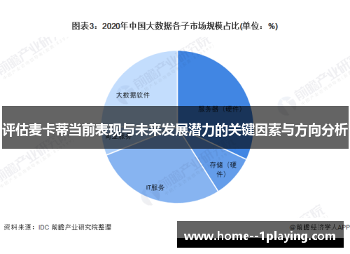 评估麦卡蒂当前表现与未来发展潜力的关键因素与方向分析